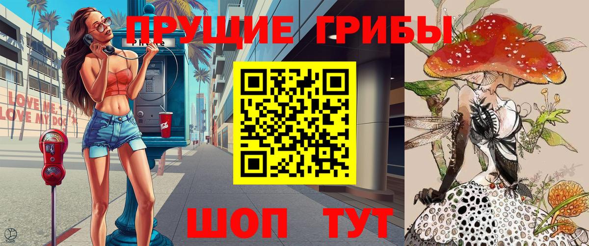 Янаул  Псилоцибиновые грибы Cubensis  Вход с VPN 