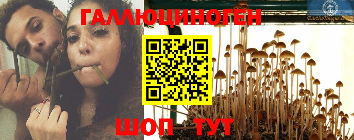 Псилоцибиновые грибы ЛСД Янаул